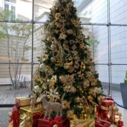 赤坂bizタワークリスマスツリー