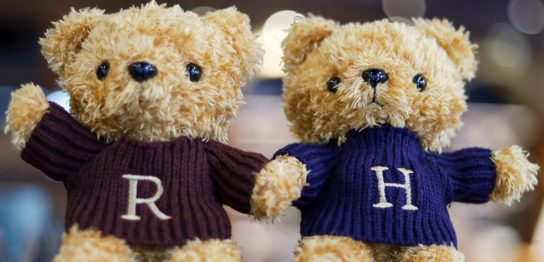 「ハリー・ポッター　マホウドコロ」新商品ハリーとロンがプレゼントされたセーターをイメージしたコスチュームのオリジナルベア