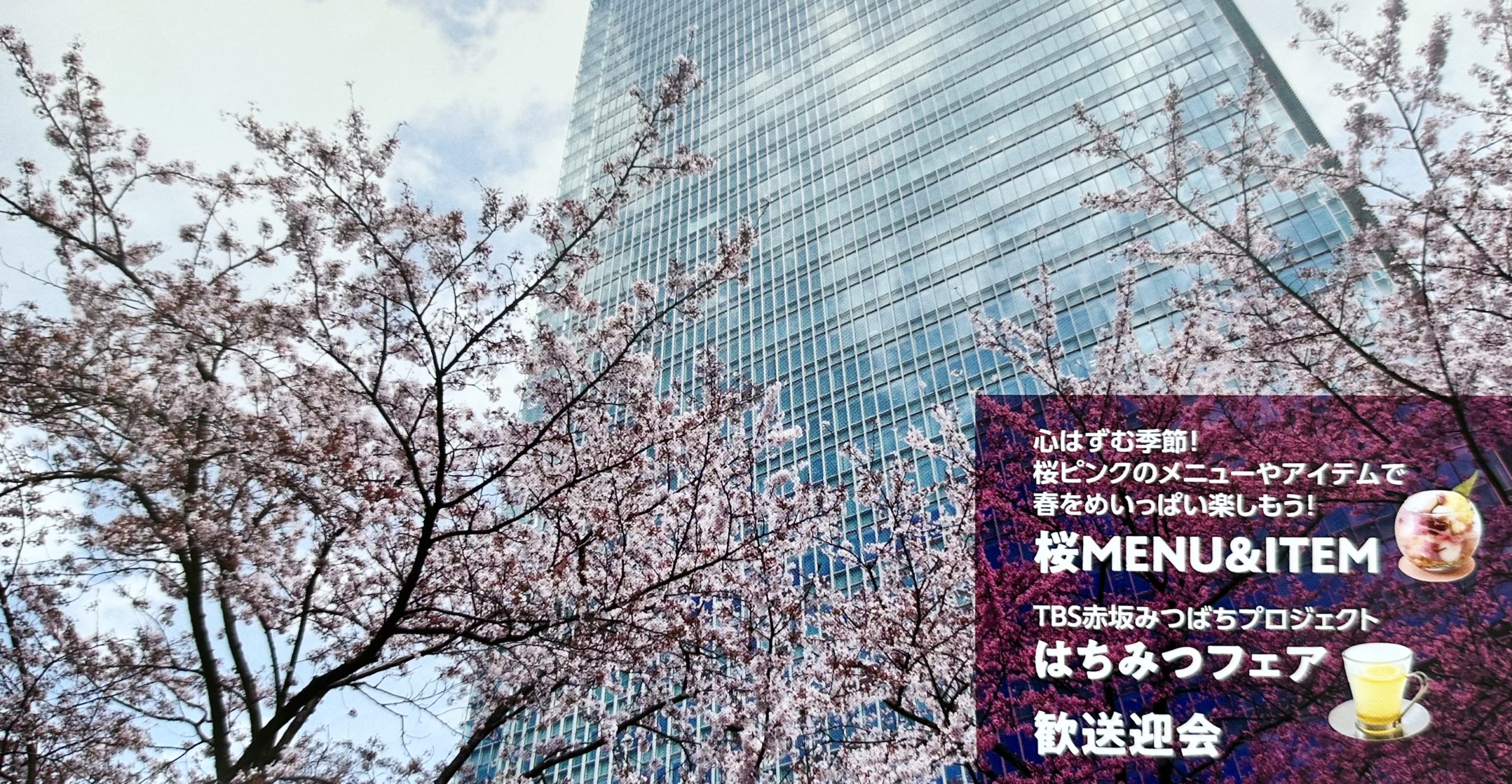 赤坂BizタワーSHOP&DININGの桜メニュー