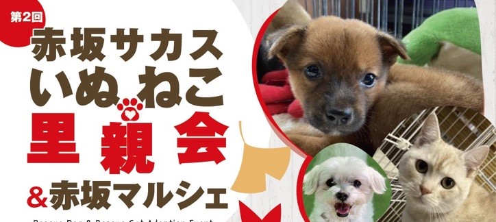 赤坂サカス広場に保護犬・保護猫ちゃんが集合