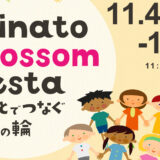 Minato Blossom Festa