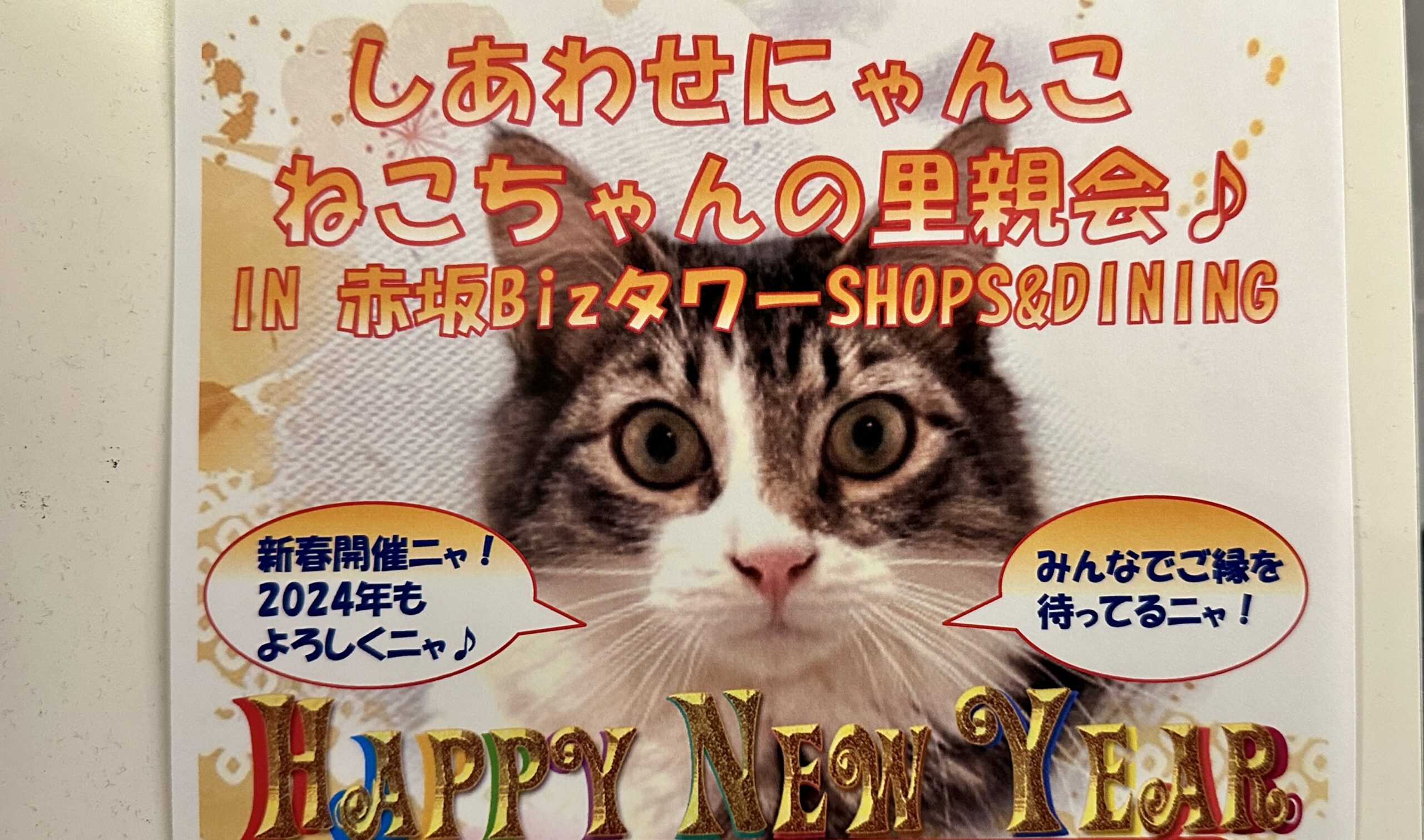 赤坂赤坂Bizタワーに保護猫ちゃんが集合 | 赤坂サカス イベント 2024 