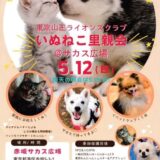 赤坂サカス広場に保護犬・保護猫ちゃんが集合！いぬねこ里親会
