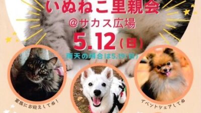 赤坂サカス広場に保護犬・保護猫ちゃんが集合！いぬねこ里親会