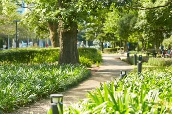 【東京ミッドタウン】都会の広大な芝生の上でピクニックを満喫！東京ミッドタウンのGWイベント「MIDTOWN OPEN THE PARK 2025」