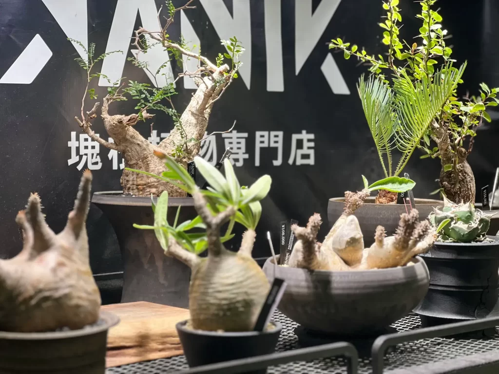 ハワイ発カスタムPOKE BOWL専門店「POKEDO」