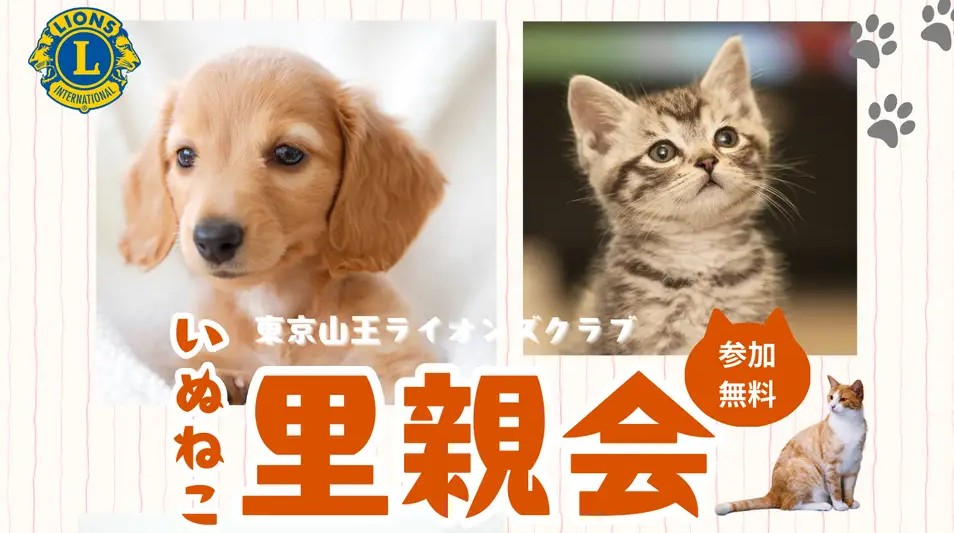 赤坂サカス広場で2025年5月11日（日）「いぬねこ里親会」開催！「60歳からのペットとの新しい暮らし方」──ANIMANECTが初出展！