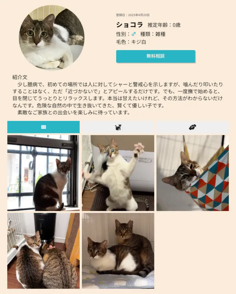 無料相談会と犬との触れ合い会