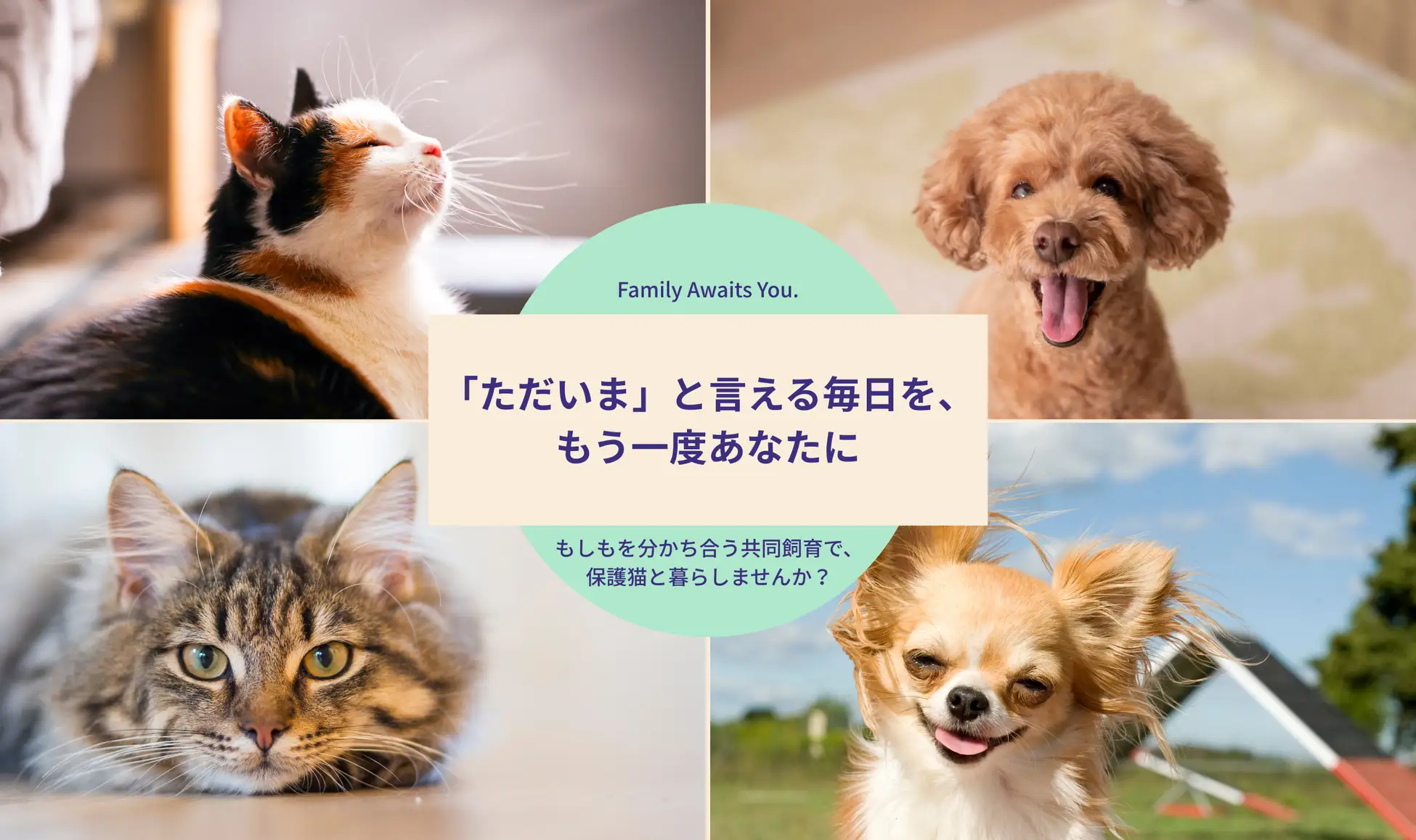 赤坂サカス広場で2025年5月11日（日）「いぬねこ里親会」開催