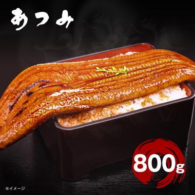愛知県三河産 あつみ 特大うなぎ長焼き／200g×4尾 計800g