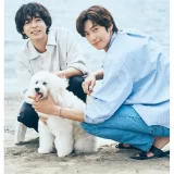 『初恋DOGs』公式フォトブック