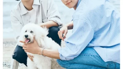 『Eye Love You』のTBSが仕掛ける“日韓合作の新境地”ドラマ『初恋DOGs』公式フォトブック発売