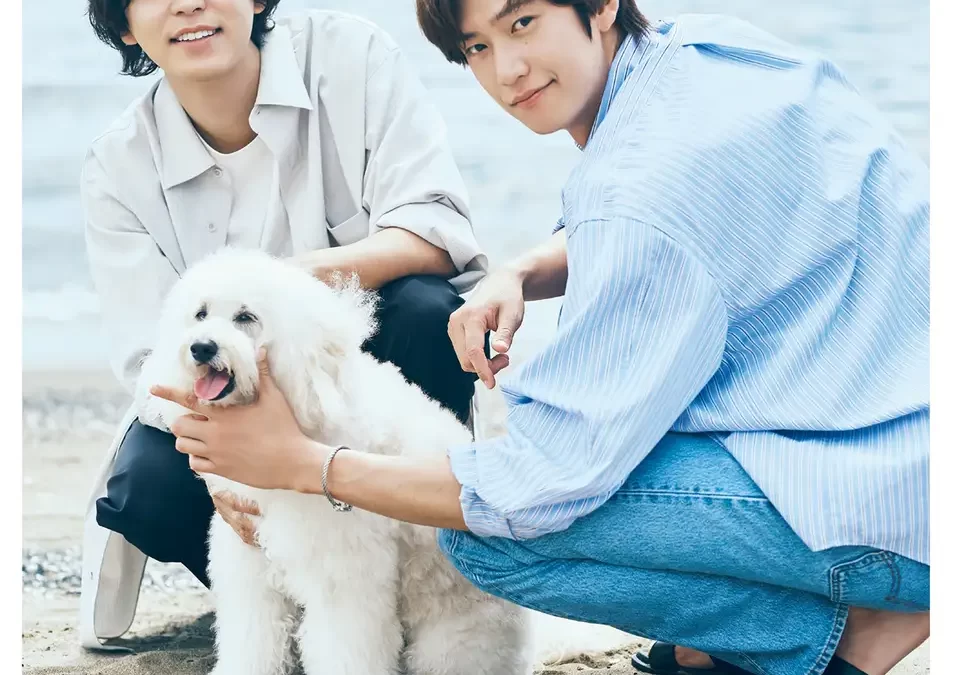 『Eye Love You』のTBSが仕掛ける“日韓合作の新境地”ドラマ『初恋DOGs』公式フォトブック発売