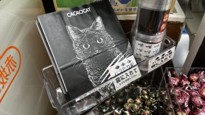赤坂Bizタワー店限定セブンイレブンCACAOCATチョコばら売り