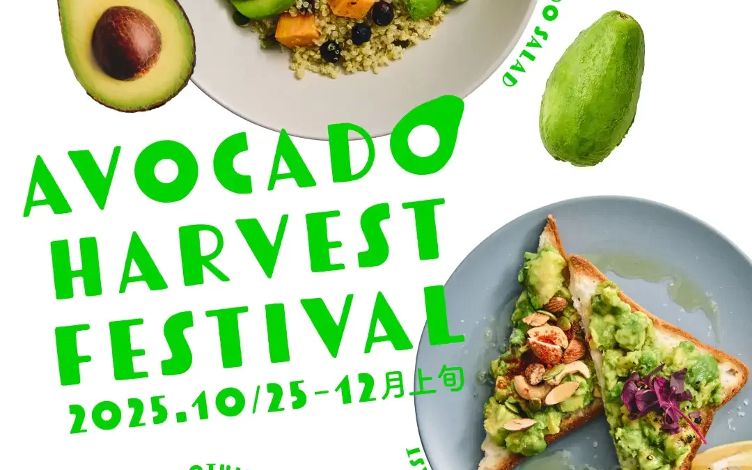 アボカド収穫祭 in ウカフェ Avocado Harvest Festival in ukafeニュージーランドの秋の恵み、プレミアムアボカド〈アバンザ〉が今年もウカフェに届きました！