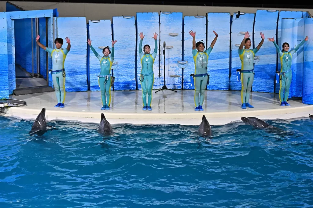 「真空ジェシカ VS イルカ in 新江ノ島水族館」