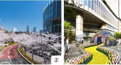 日本橋エリア・東京ミッドタウン（六本木・日比谷・八重洲）を舞台に、さまざまな花と出会う“春の街巡り”イベントを開催中