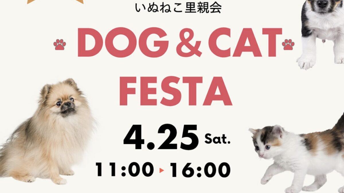 赤坂サカス広場で2026年4月25日（土）「いぬねこ里親会」開催！ | 赤坂