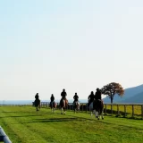 TBS系日曜劇場『ザ・ロイヤルファミリー』公式ツアー「競走馬のふるさと・日高地方の聖地巡礼の旅へ3日間」を5月18日受付開始