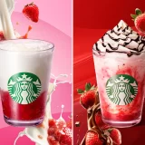 【スターバックス】ごろっと果肉、つぶつぶ食感。イチゴの新作ビバレッジ2種が5月11日（月）より登場