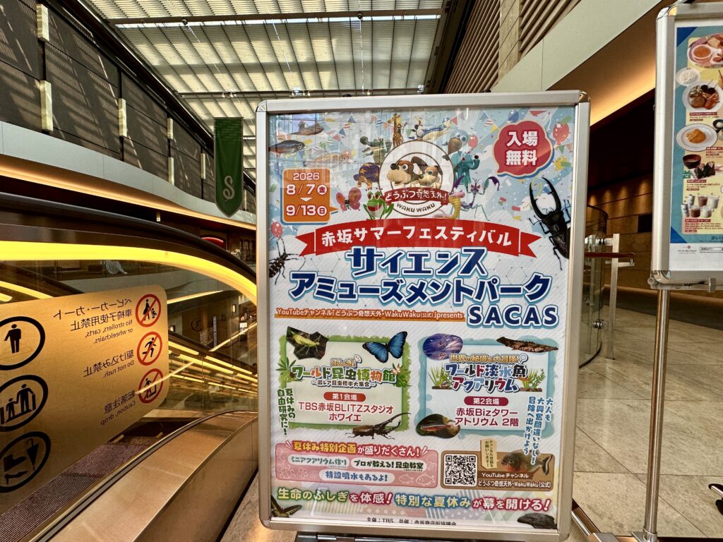 赤坂サマーフェスティバル
