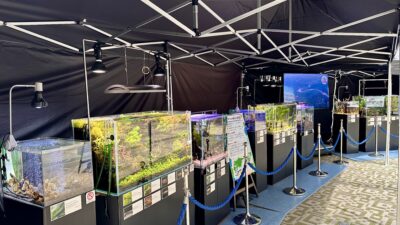 赤坂サマーフェスティバル サイエンスアミューズメントパークSACAS開催8/7（金）～9/13（日）
