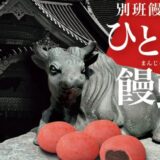 日曜劇場『VIVANT』「コンビニエンスウェア」と物語のカギを握るアイテムファミマ「別班饅頭」を数量限定発売