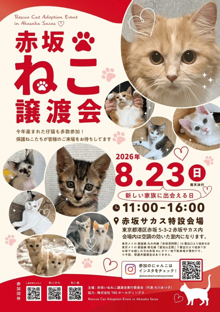 「赤坂ねこ譲渡会」開催決定