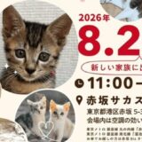 赤坂サカス特設会場で2026年8月23日（日）「赤坂ねこ譲渡会」開催！
