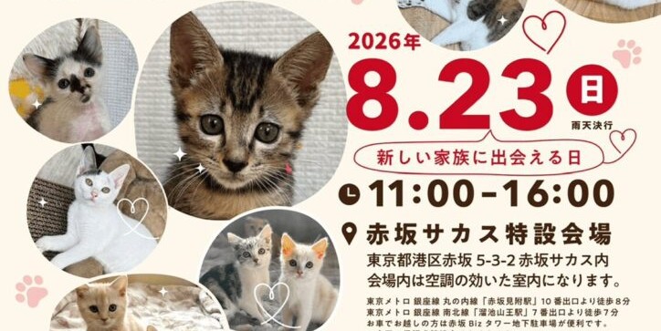 赤坂サカス特設会場で2026年8月23日（日）「赤坂ねこ譲渡会」開催！